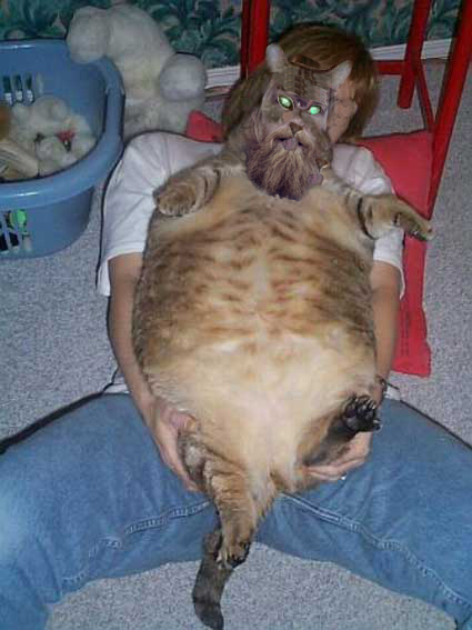 overweight dave award